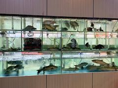 -祈胜邨•顺德鱼生•顺德菜(容桂店)