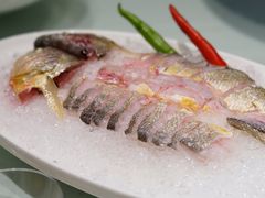 -子福慧(虹桥店)