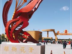-金塔沙漠胡杨林景区