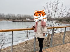 -东郊湿地公园