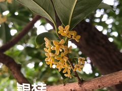 -颐和园