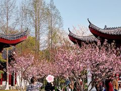 -堤角公园