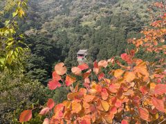 -香山公园