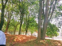 -千龙湖生态旅游度假区