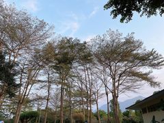 -碧水湾温泉
