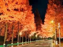 -塔川景区