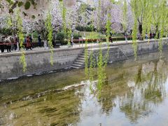 -元大都城垣遗址公园