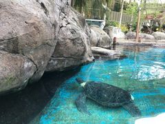 -海合安成都极地海洋公园
