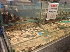 -钱小奴创意自助餐厅·原切谷饲安格斯畅吃(宁波慈溪爱琴海店)