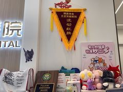 -瑞派·关忠动物医院·猫专科·犬专科(三环新城店)