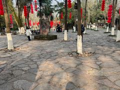 -桂林古东瀑布景区