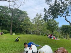 -云溪植物园