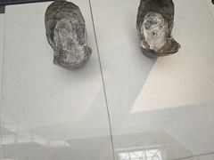 -吉林市博物馆