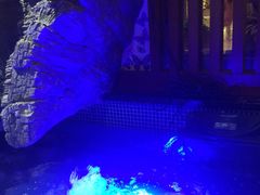 -水晶之星洗浴温泉汗蒸