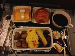 -新加坡航空公司(ION)