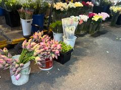 -循礼门鲜花花市(武汉循礼门店)