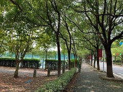 -华东政法大学(松江校区)