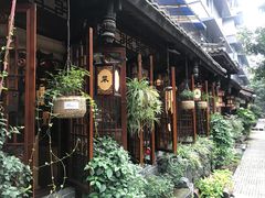 -泡桐树街