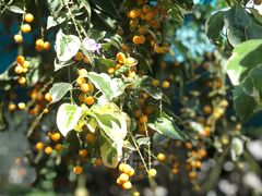 -豆舞咖啡(民乐路店)