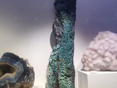 -重庆自然博物馆(新馆)