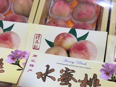 -南汇水蜜桃采摘(大团店)