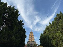 -大慈恩寺(大雁塔)