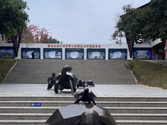 -广东惠东海龟国家级自然保护区