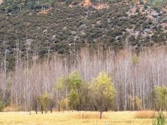 -泸沽湖国家级风景名胜区走婚桥