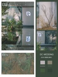 -DC大蔡婚礼策划(李公堤店)