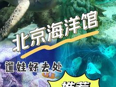 -北京海洋馆