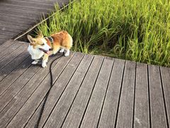 -风云岭森林公园