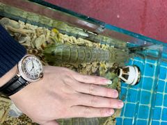 -醉壹号海鲜大排档(厦门美食地标店)