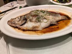 -郑州烤鸭总店