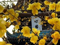 -西安化觉巷清真大寺