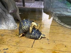 -石家庄市动物园