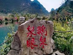 -靖西鹅泉风景区