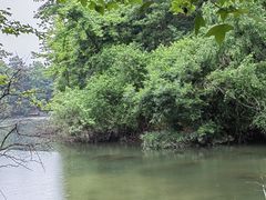 -青龙山国家森林公园