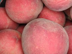 -江杨农产品批发市场