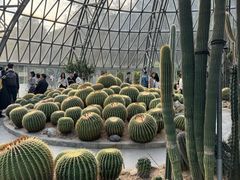 -深圳仙湖植物园