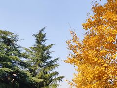 -上海市龙华烈士陵园