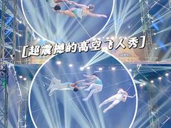 -海合安天津极地海洋公园