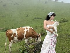 -大姆山草场