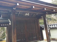 -西芳寺(苔寺)