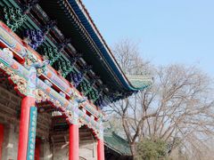 -白塔山公园