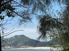 -广东惠东海龟国家级自然保护区