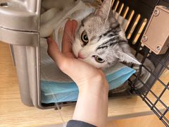 -美联众合动物医院·24h京西诊疗中心