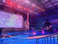 -华夏文旅海洋公园