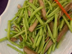 芦蒿炒肉丝-双东酒店(东关街店)