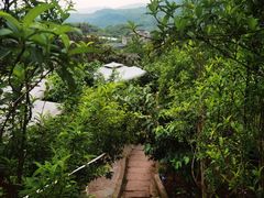 -桃源山庄·水蜜桃采摘·柴火鸡·烧烤团建(龙泉山店)