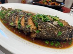 -梅利汴京烤鸭•开封豫菜地标店(东大街店)